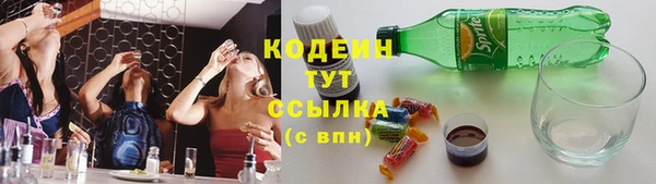ECSTASY Алзамай