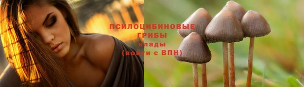 ECSTASY Алзамай