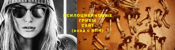 2c-b Алексин